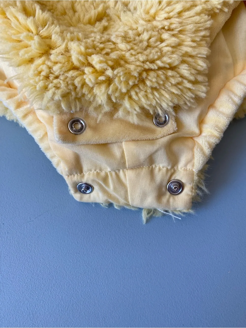 Pottery Barn Kids Big Bird Sesame Street Baby Costume - Picture 3 of 4